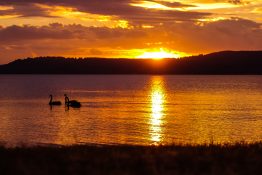 Magnificent golden sunset at Lake Taupou - New Zealand