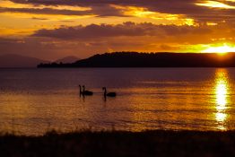 Magnificent golden sunset at Lake Taupou - New Zealand