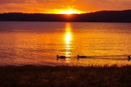 Magnificent golden sunset at Lake Taupou - New Zealand