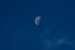 Half moon visible during the day in clear blue sky