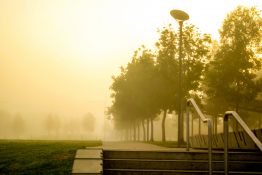 Foggy morning at a park