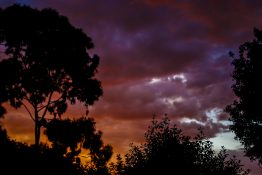 Colourful evening clouds