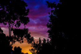 Colourful evening clouds