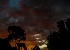 Colourful evening clouds