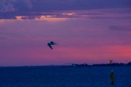 stunning-evening-at-st-kilda-beach-melbourne-australia-14