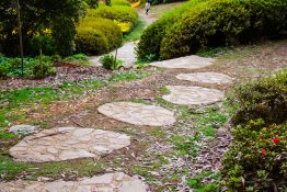 dandenong-ranges-botanic-gardens