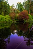 dandenong-ranges-botanic-gardens-11