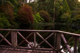 dandenong-ranges-botanic-gardens-17