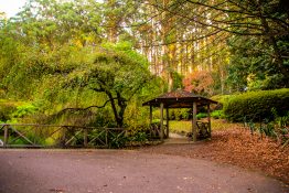 dandenong-ranges-botanic-gardens-23