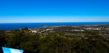 sealy-lookout-7