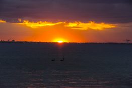 Stunning image of ducks wading across a setting sun which is creating a colorful evening at the St Kilda Beach