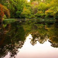 Botanic Gardens