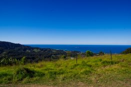 Sealy lookout and forest sky pier