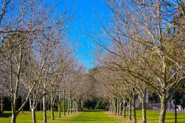 sydney-olympic-park-9