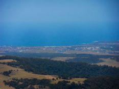 View from Illawarra tree top