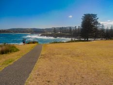 Beautiful view of ocean, waves and trees in Kiama