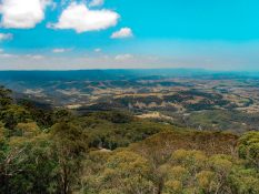 View from Illawarra tree top