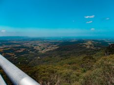 View from Illawarra tree top