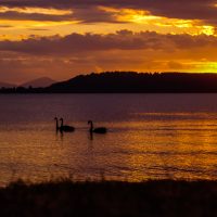 Lake Taupo in New Zealand