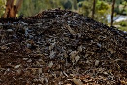 Pile of wood chips for gardening left on the road side