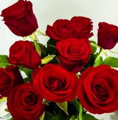 Beautiful Bouquet of red roses