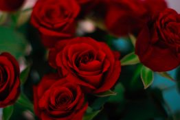 Beautiful Bouquet of red roses