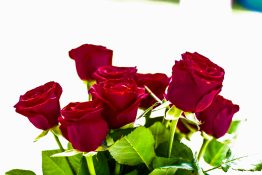 Beautiful Bouquet of red roses