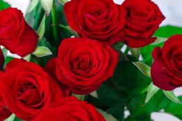 Beautiful Bouquet of red roses