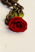 Beautiful single red rose placed on a rusted metal chain