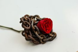 Beautiful single red rose placed on a rusted metal chain