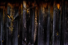 Patterns and designs on old fencing timber