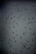 Rain drops on a bedroom window after a thunderstorm