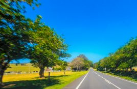 Road trip on a beautiful bright day