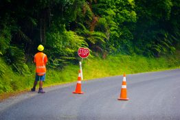 Traffic controller standing by a stop sign and two traffic cones looking towards oncoming traffic