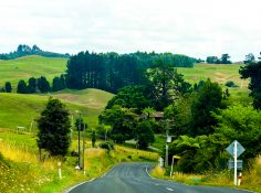 Driving on a road running through green vegetation