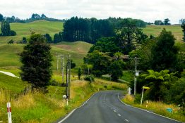 Driving on a road running through green vegetation