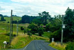 Driving on a road running through green vegetation