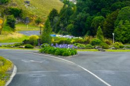 Driving on a road running through green vegetation