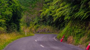 Driving on a road running through green vegetation