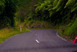 Driving on a road running through green vegetation