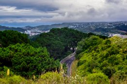 View of Wellington City from Mt Wellington