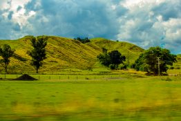 Driving past a land lush with green vegetation and a small hill