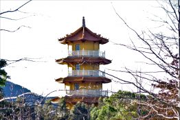 Buddhist Temple