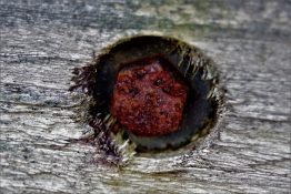 Rusted bolt screwed into an piece of timber