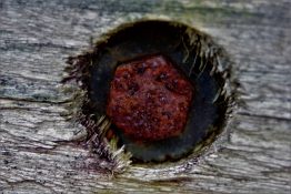 Rusted bolt screwed into an piece of timber