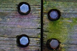 Algae on Wooden fence bolted by four bolts