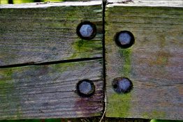 Algae on Wooden fence bolted by four bolts