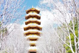 Buddhist Temple - Wollongong - Australia